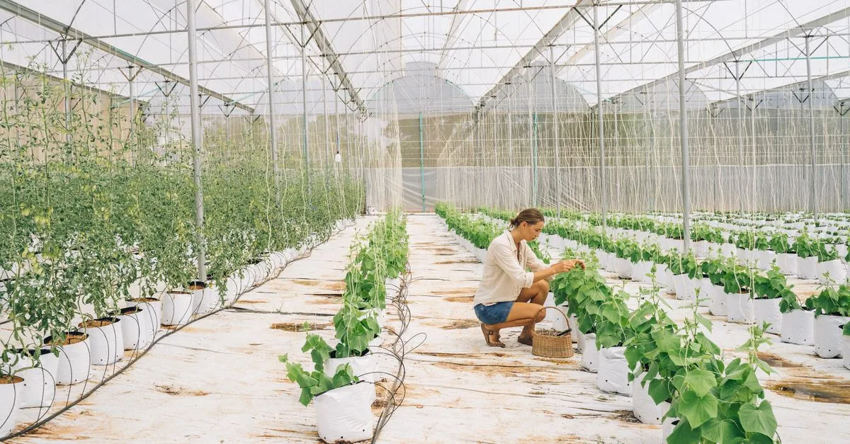 découvrez l'agriculture écologique innovante, alliant techniques durables et respect de l'environnement pour un avenir agricole responsable.